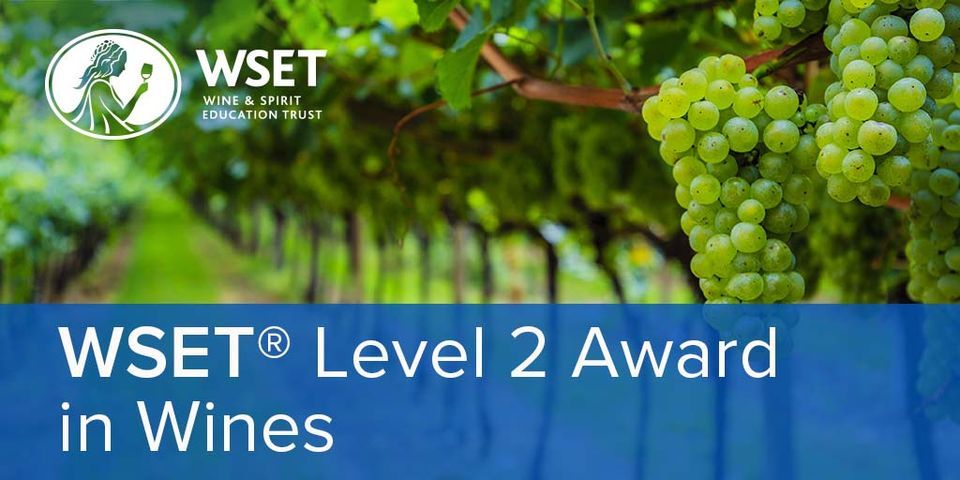 wset-level-2-birmingham-wine-school-28-june-2022