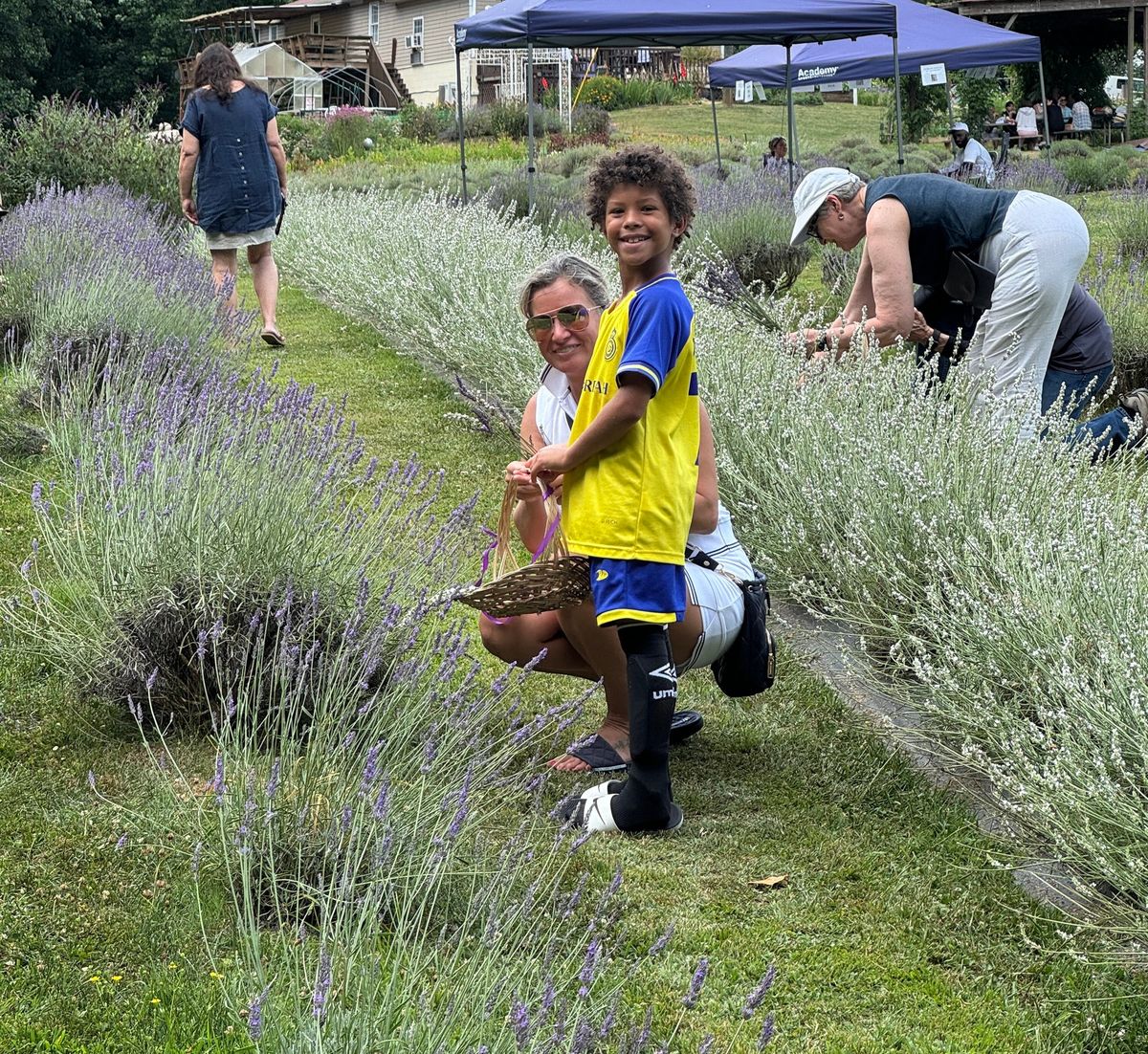 Lavender Festival 2025