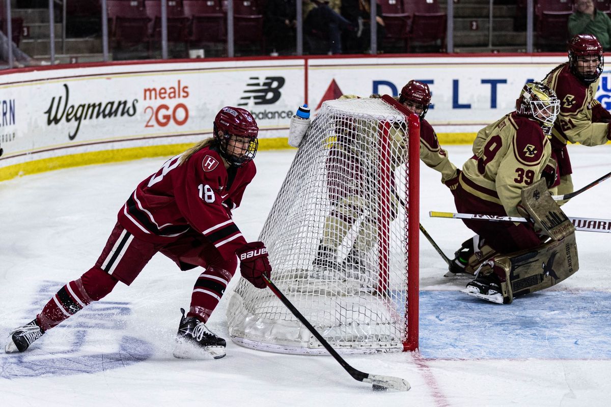 Harvard Crimson at Boston University Terriers Womens Hockey