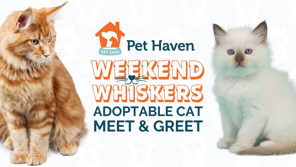 Weekend Whiskers! Adoptable Cat Meet & Greet!