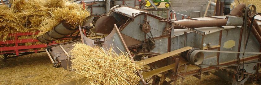 Annual Threshing Bee 2021