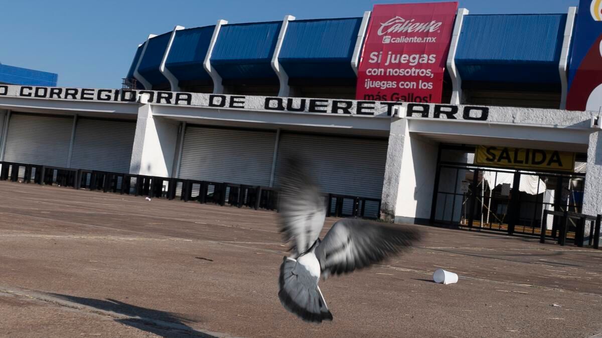 Raphael Santiago de Quer\u00e9taro Tickets