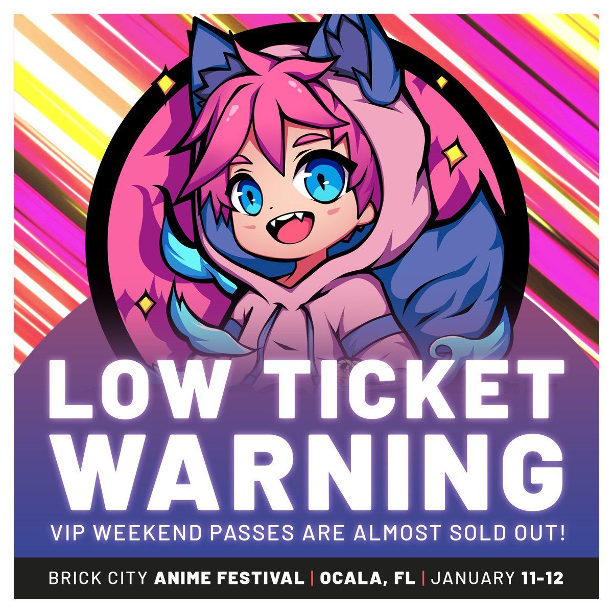 Brick City Anime Festival - Weekend Pass