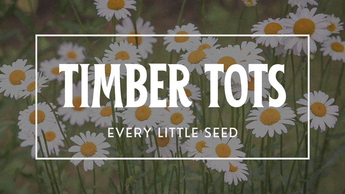Timber Tots: Every Little Seed