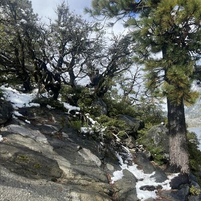 Fresno Hiking x Figarden Run Club