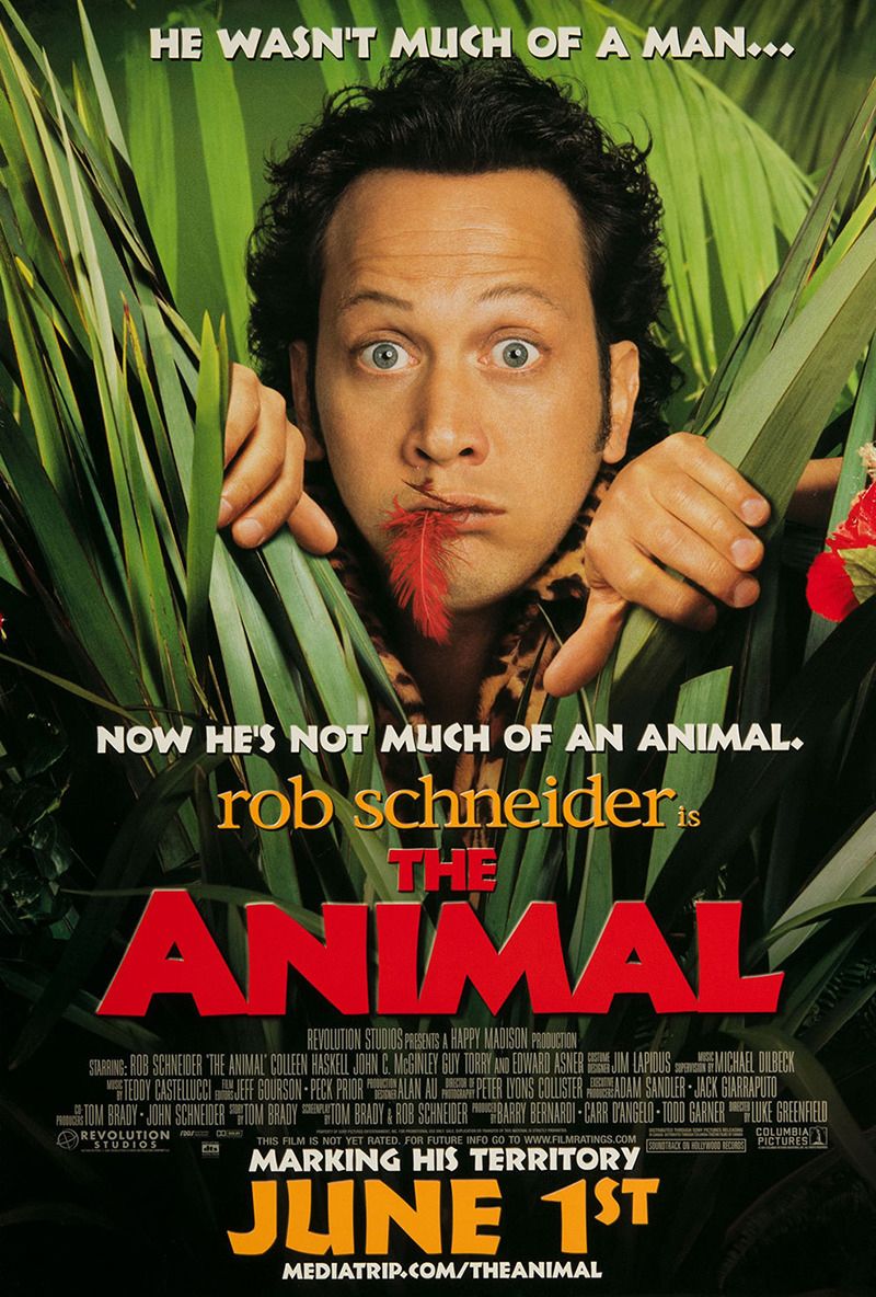 Rob Schneider