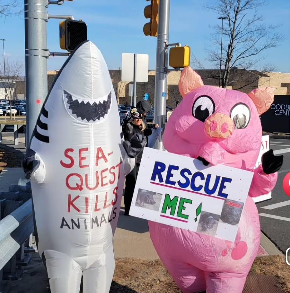 Protest SeaQuest Woodbridge 