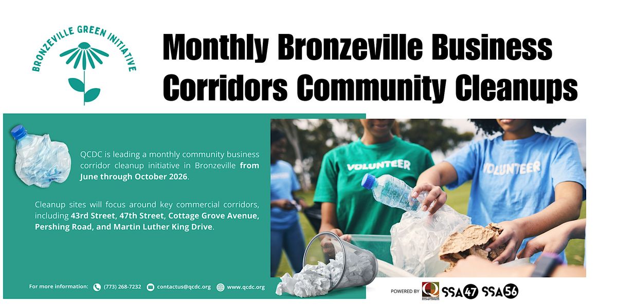 Bronzeville Business Corridors Community Cleanup