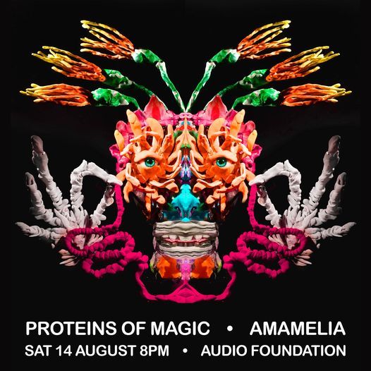 Proteins of Magic & Amamelia