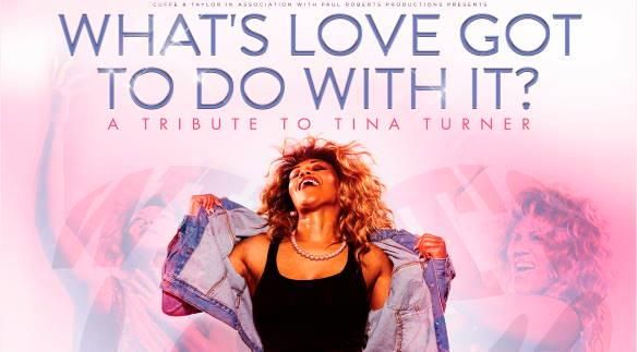 What's Love Got to do With it - Tina Turner Tribute