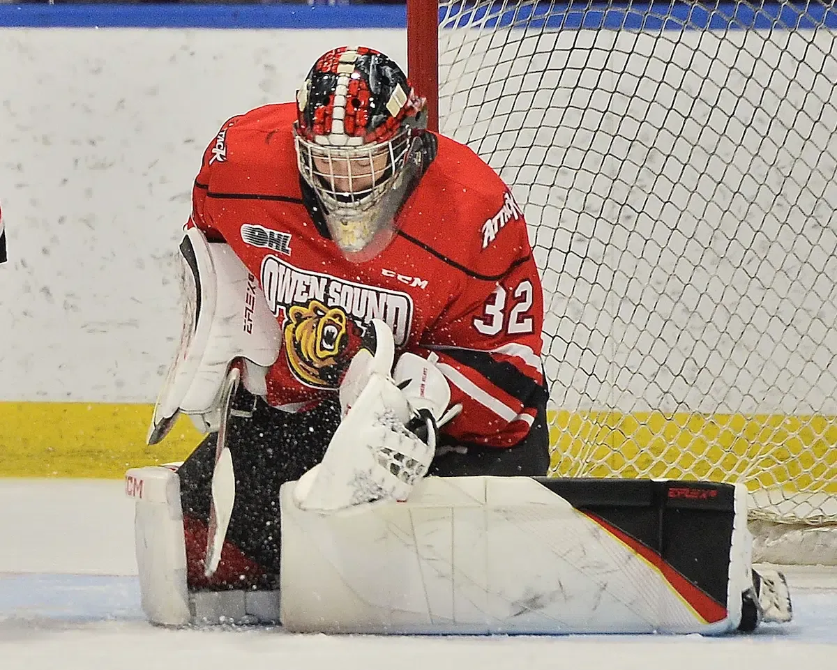 Owen Sound Attack at Sault Ste Marie Greyhounds