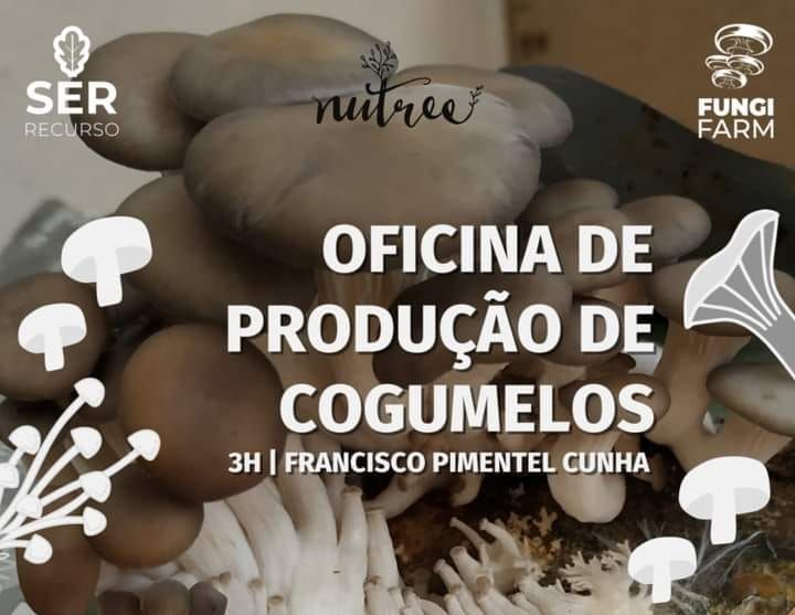 Oficina de Produ\u00e7\u00e3o de Cogumelos 