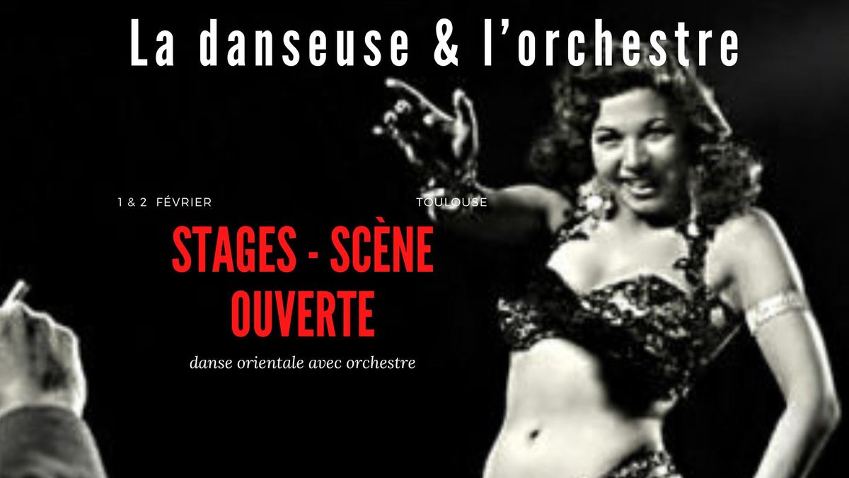 La danseuse et l'orchestre - Stages de danse orientale