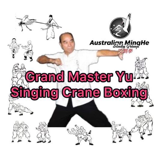 Master Yu 2024 Australian White Crane Seminar