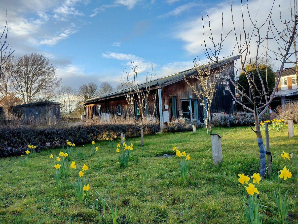 Relaxation & Sound Bath Day Retreat 