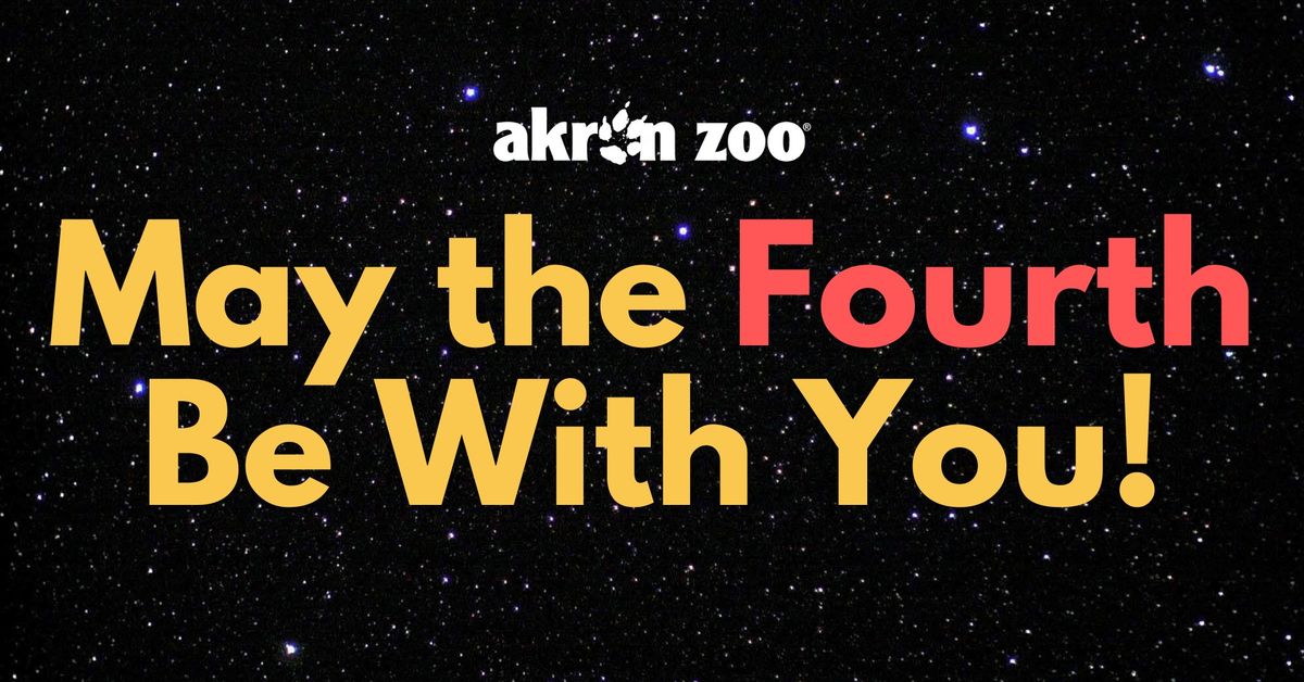 May the Fourth Be With You!