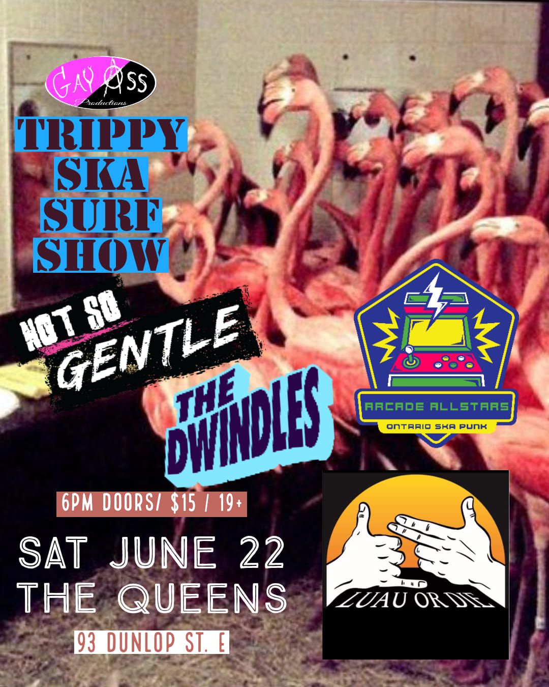 Not So Gentle\/the Dwindles\/Arcade Allstars\/Luau or Die at the Queens