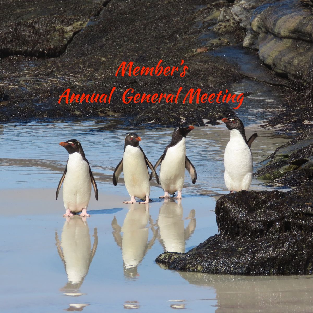 Member's Annual General Meeting 