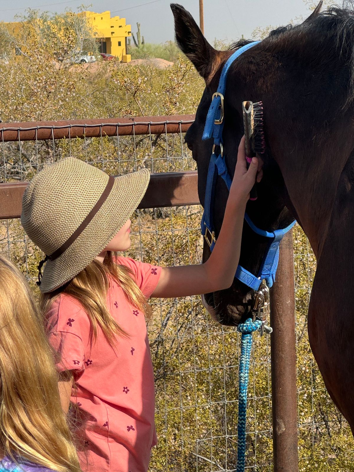 Spring Break Horse Camp