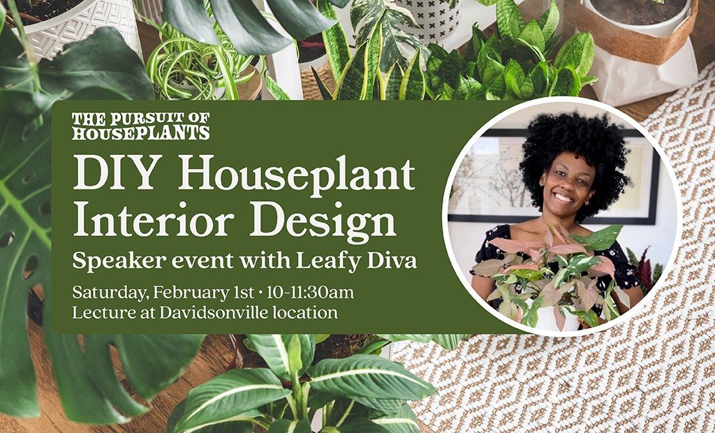 DIY Interior Plant Design with Leafy Diva