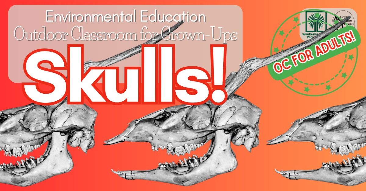 ANIMAL SKULL EXPLORATION! [Outdoor Classroom for Adults series]