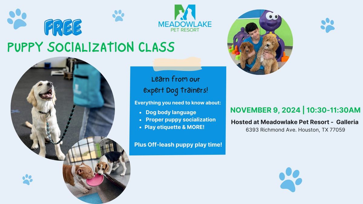 FREE Puppy Socialization Class