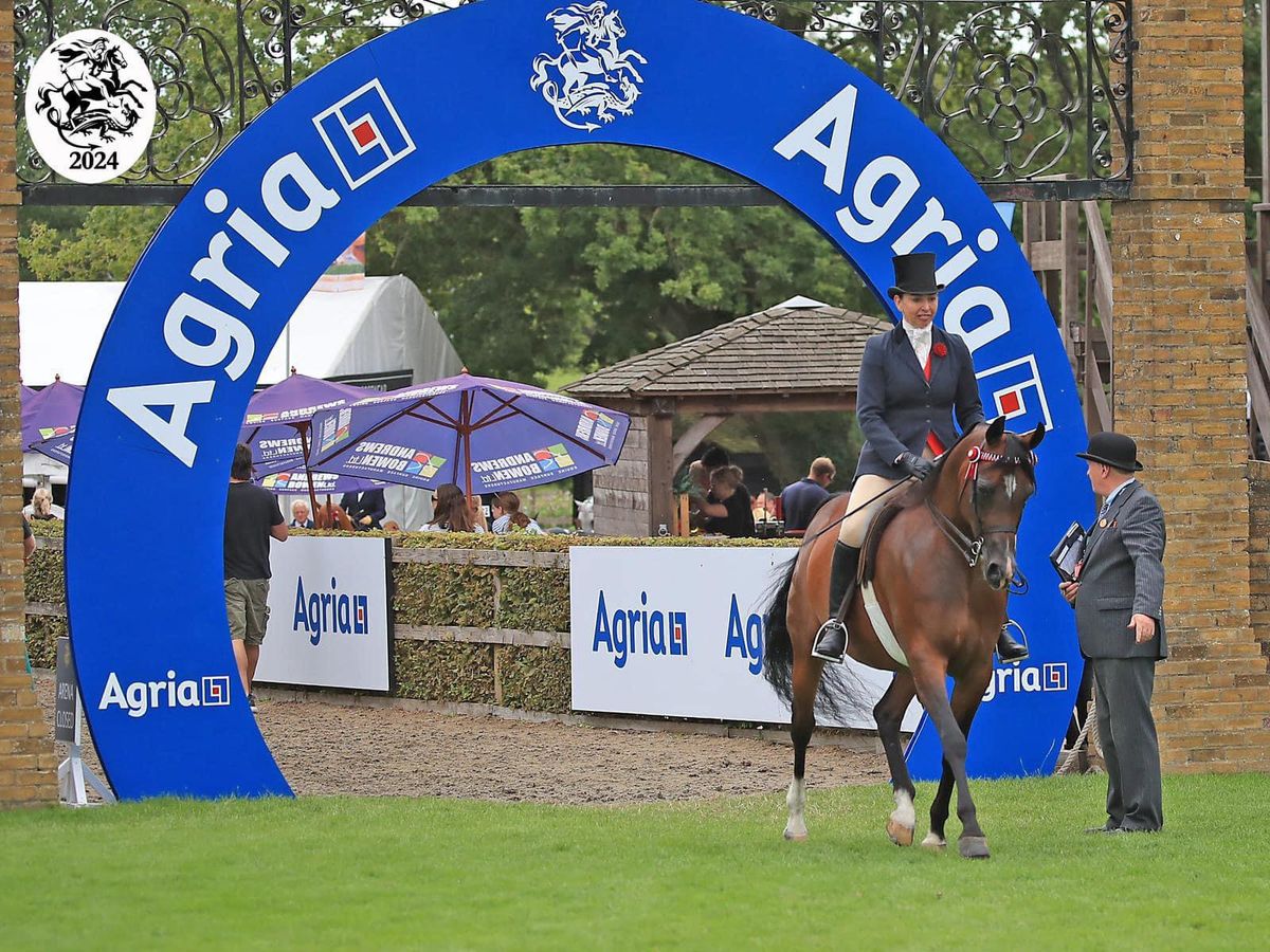 STARS\/LIHS Flatwork Clinic with Sian Warman