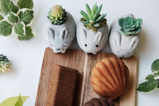 水泥兔子盆栽 泥塑體驗手作課程中秋節禮物多肉植物水泥盆製作 Leon Patisserie 雷昂甜點烘焙工坊 P Ing Tung 28 August 21 水泥兔子盆栽 泥塑體驗手作課程中秋節禮物多肉植物水泥盆製作 Leon Patisserie 雷昂甜點烘焙工坊 P Ing Tung 28 August 21