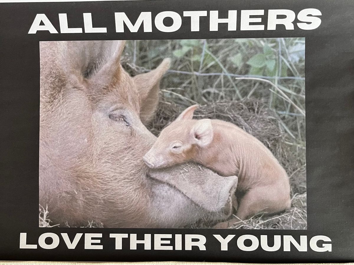 Be Kind to Mothers