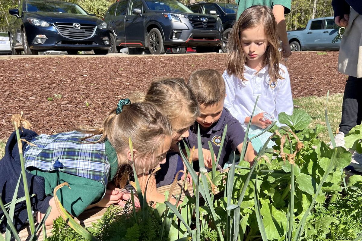 Cary Christian School Kindergarten Preview Day