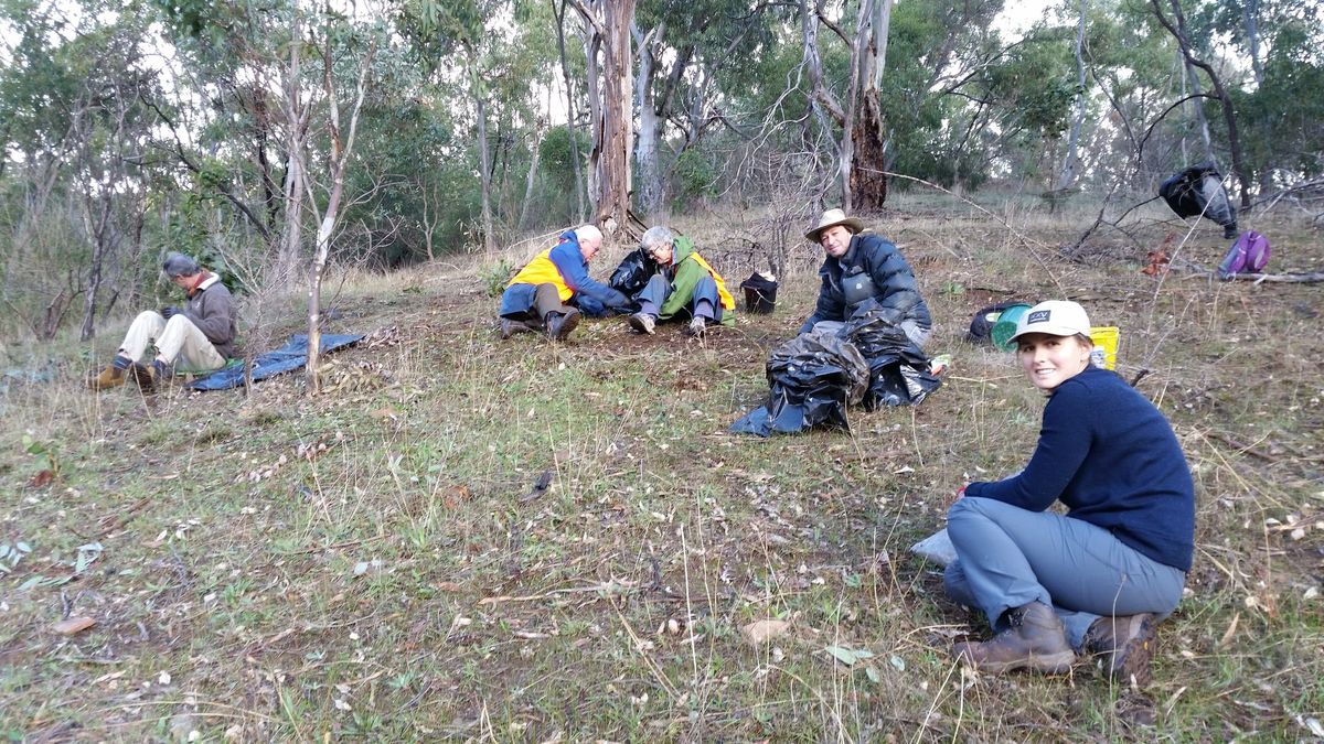 Horsnell Gully habitat restoration