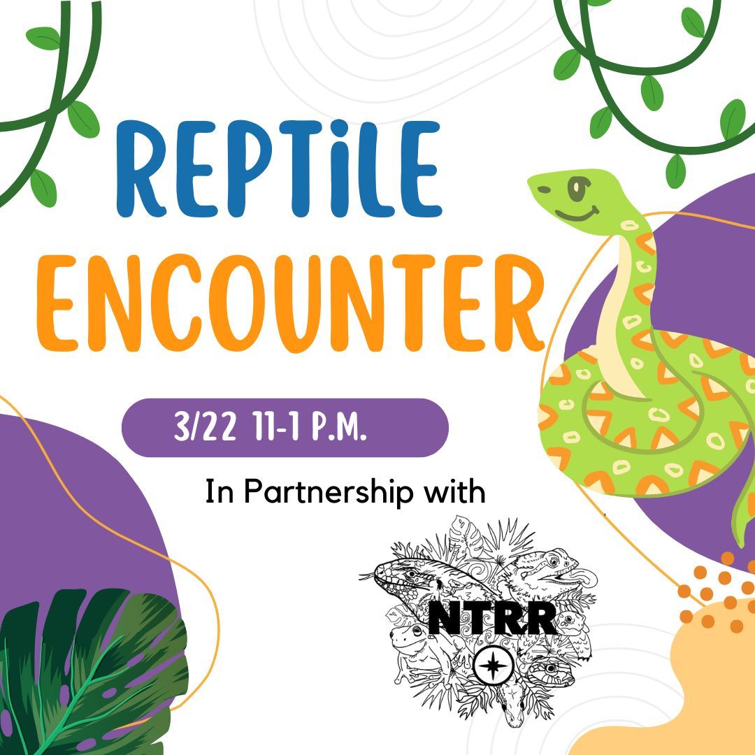 \ud83d\udc0d Reptile Encounter at Explorium! \ud83e\udd8e