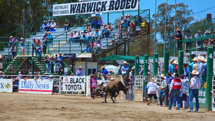 WARWICK RODEO