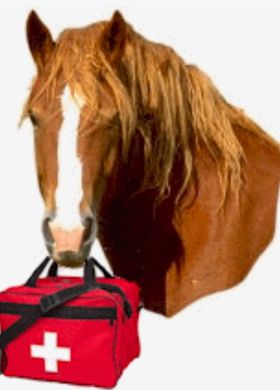 FIRST AID for HORSE RELATED EMERGENCIES SEMINAR