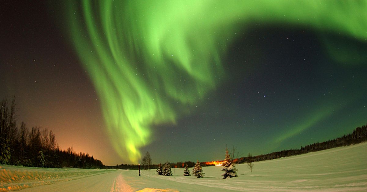 Members Only: Planetarium Screening of \u201cDinosaurs Under the Northern Lights\u201d