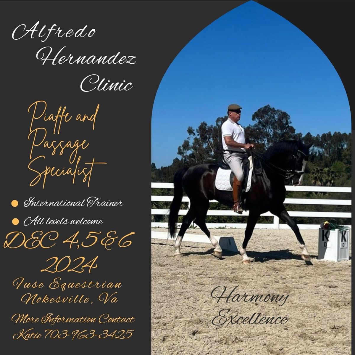 Dressage Clinic with Alfredo Hernandez