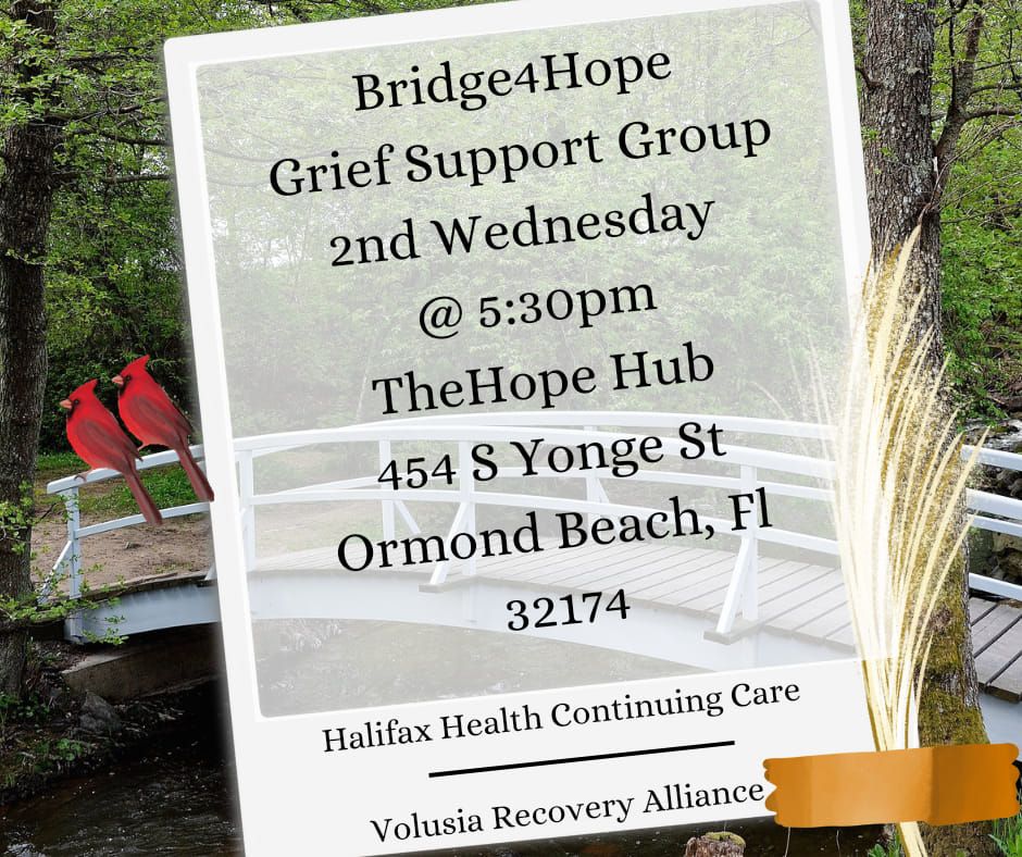 Bridge4hope