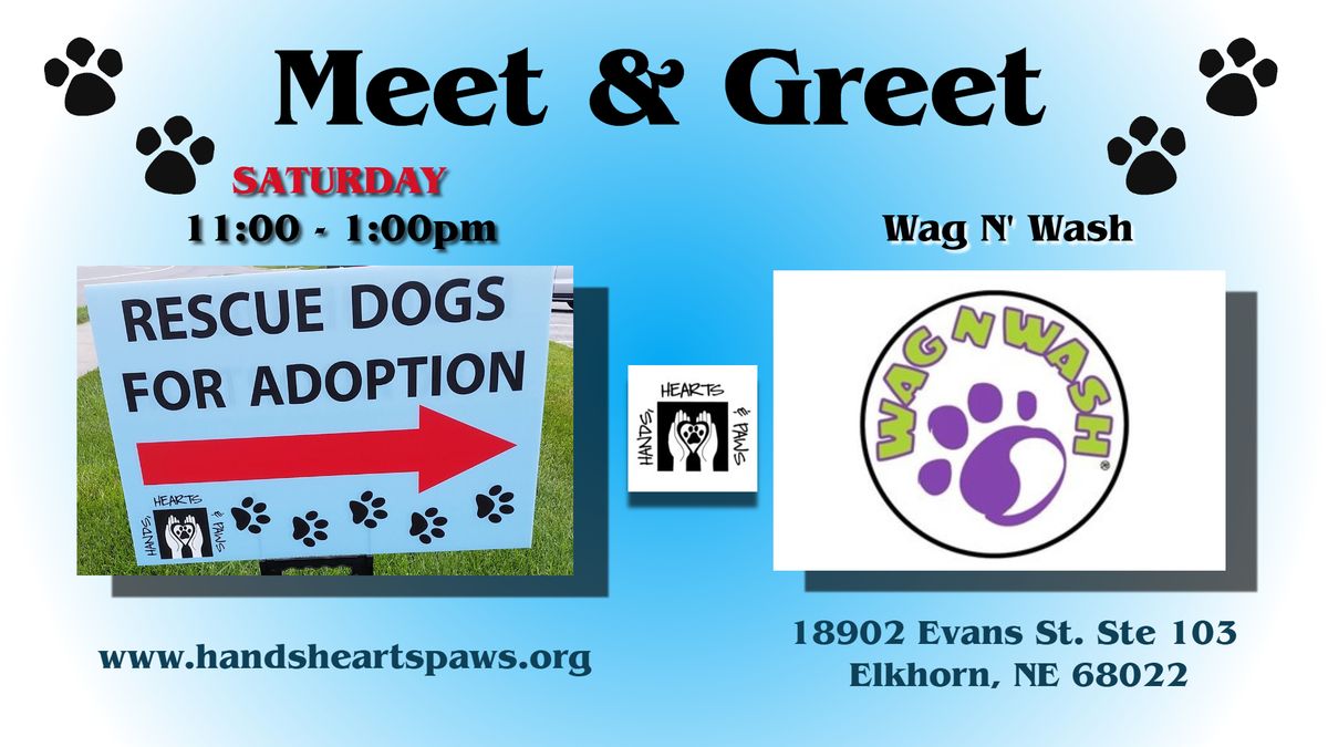 Meet and greet at Wag n Wash