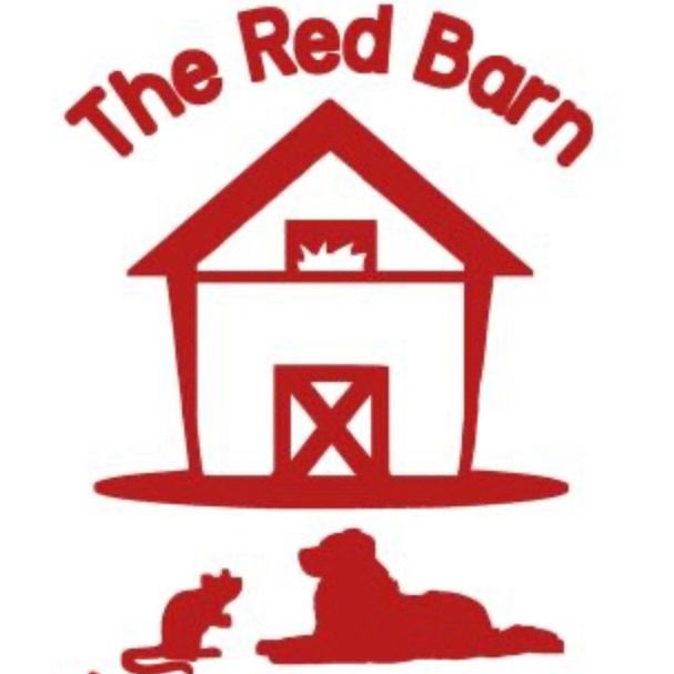 Barn Hunt @ The Red Barn!