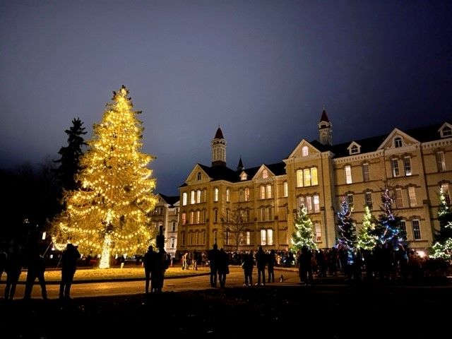 The Village Tree Lighting