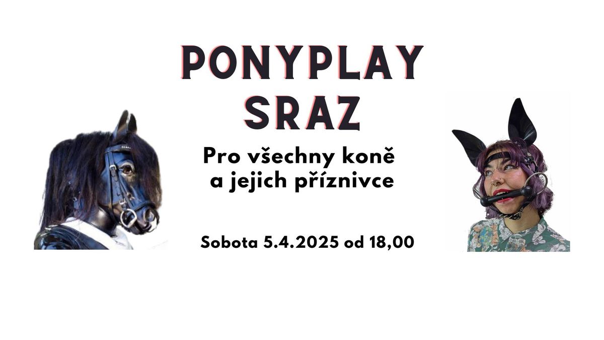 Ponyplay sraz