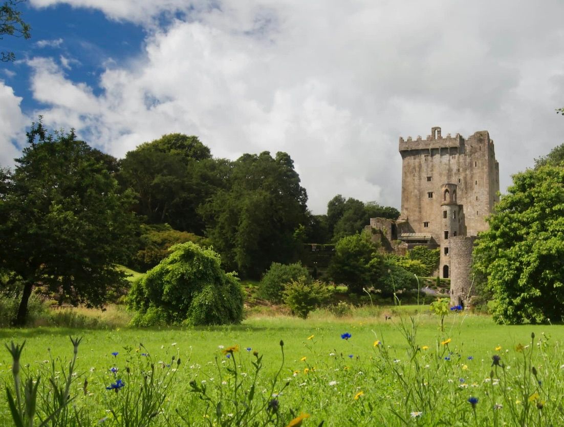 Leisure cycle to Blarney 