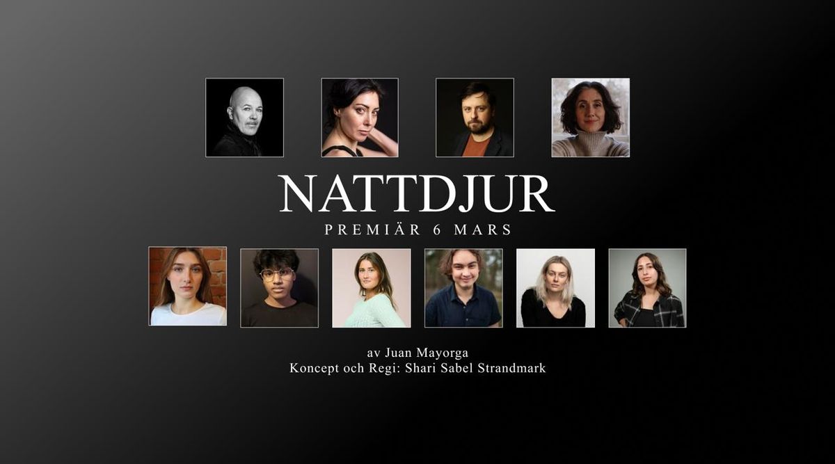 Nattdjur