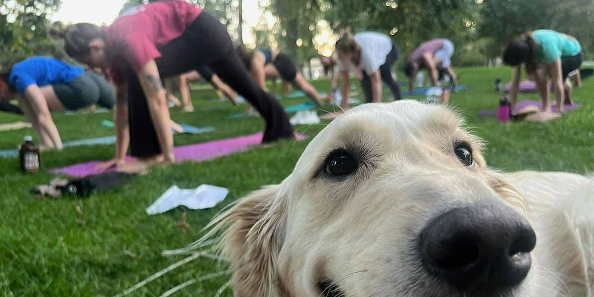 Hey Let's Yoga Monday Yoga | Harvard Gulch Park 2024