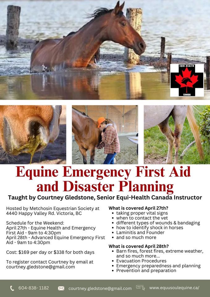Equine Emergency  First Aid (Level 1) and Disaster Planning 