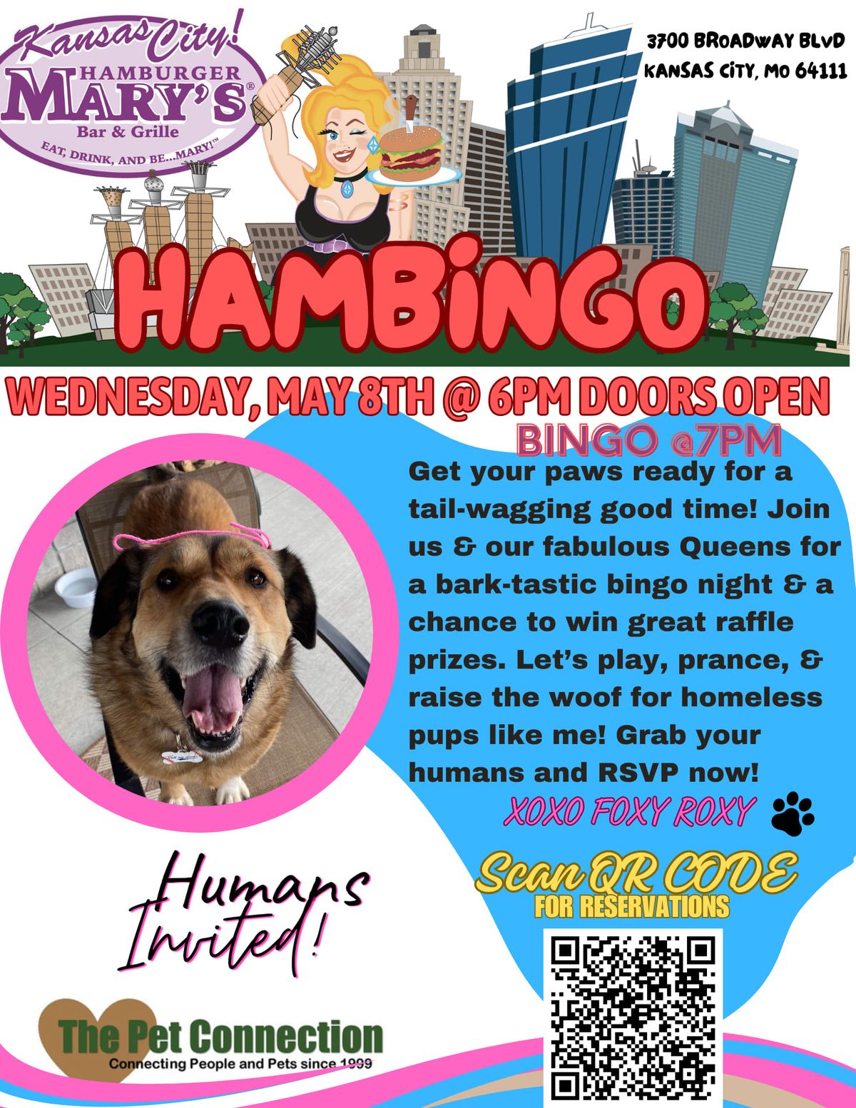 Hambingo Benefitting The Pet Connection 