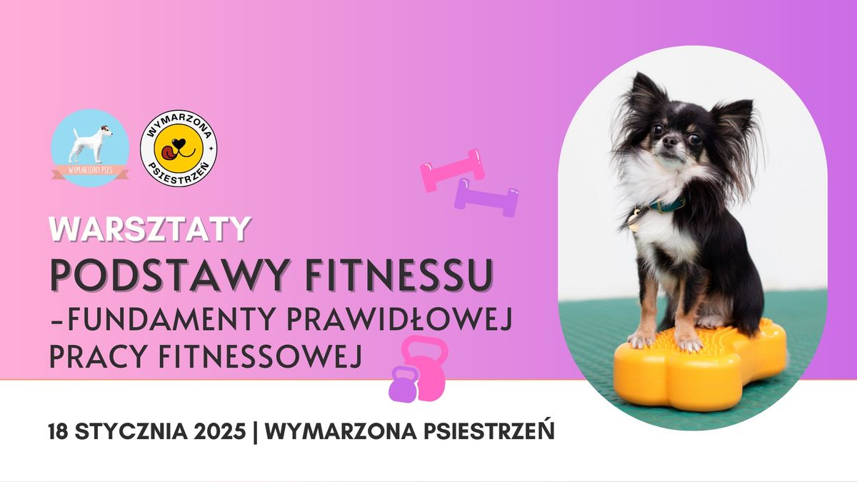 Warsztaty Podstawy fitnessu - fundamenty prawid\u0142owej pracy fitnessowej