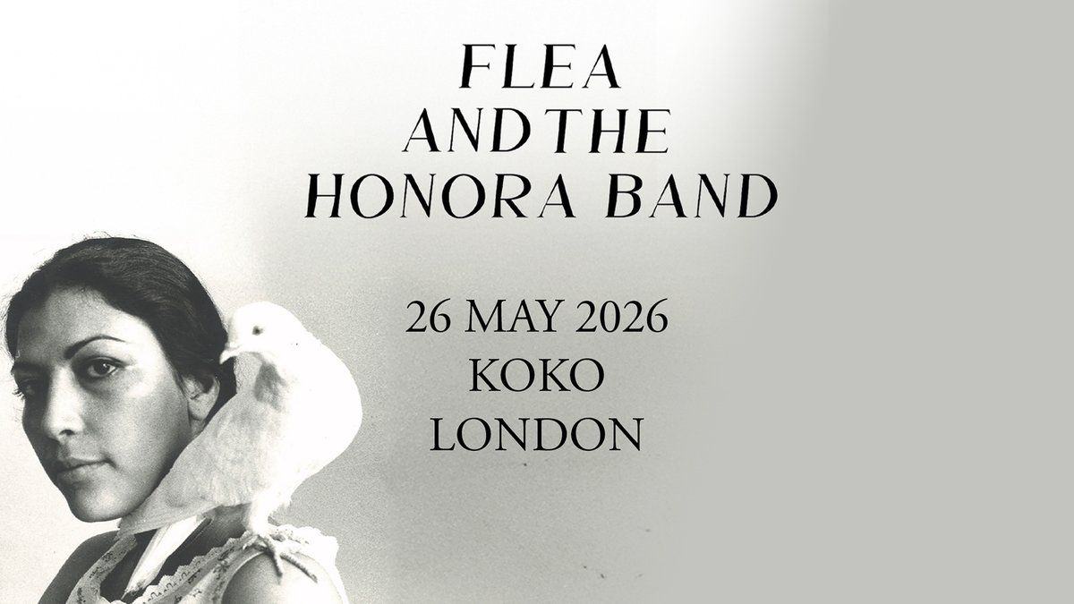 Flea and the Honora Band