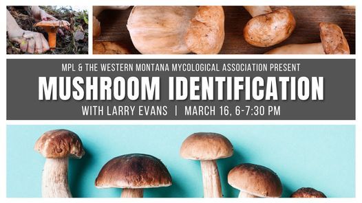 Mushroom Identification with Larry Evans