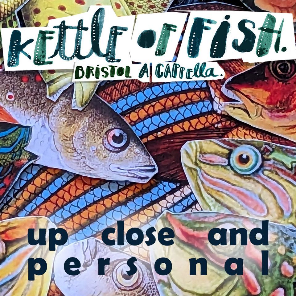 Kettle Of Fish - up close and personal - OPENING NIGHT